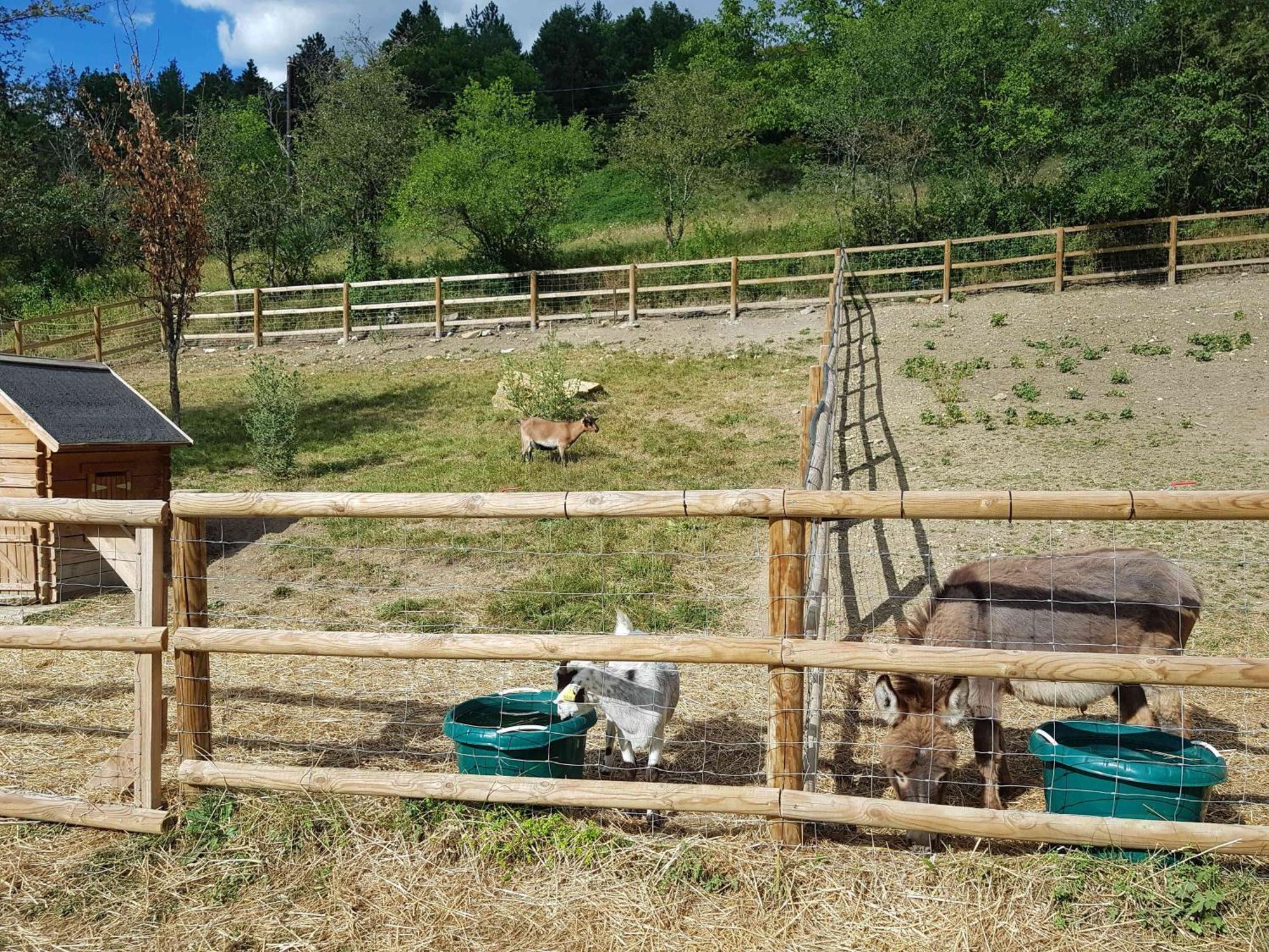 Hotel Camping La Ferme De Castellane Zewnętrze zdjęcie