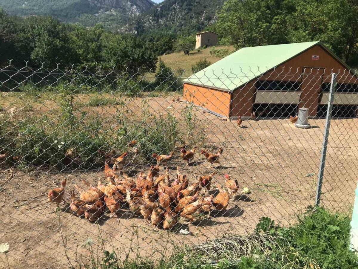 Camping La Ferme De Castellane Zewnętrze zdjęcie