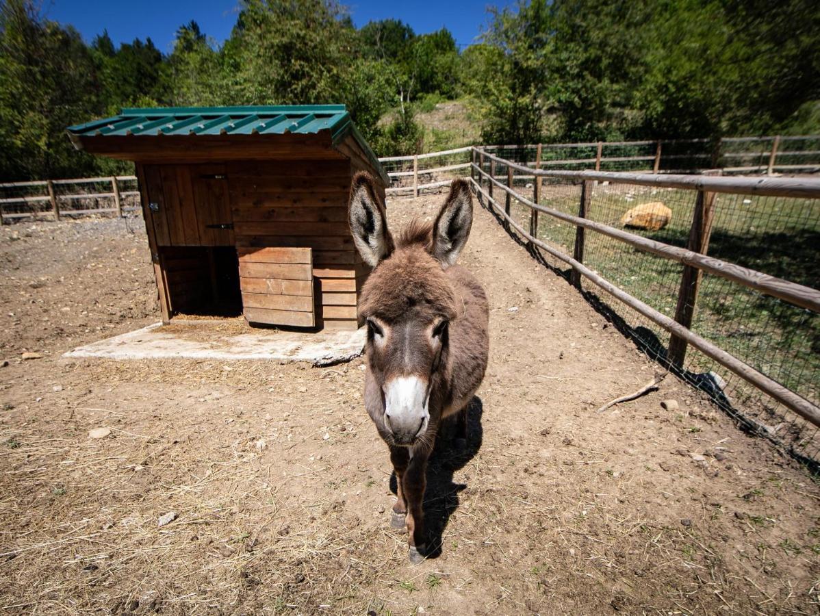 Camping La Ferme De Castellane Zewnętrze zdjęcie