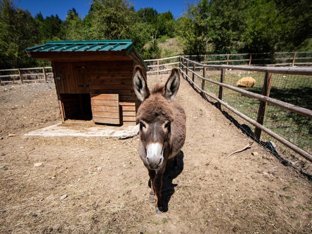 Hotel Camping La Ferme De Castellane Zewnętrze zdjęcie