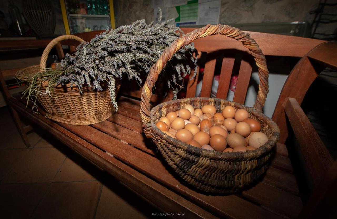 Camping La Ferme De Castellane Zewnętrze zdjęcie