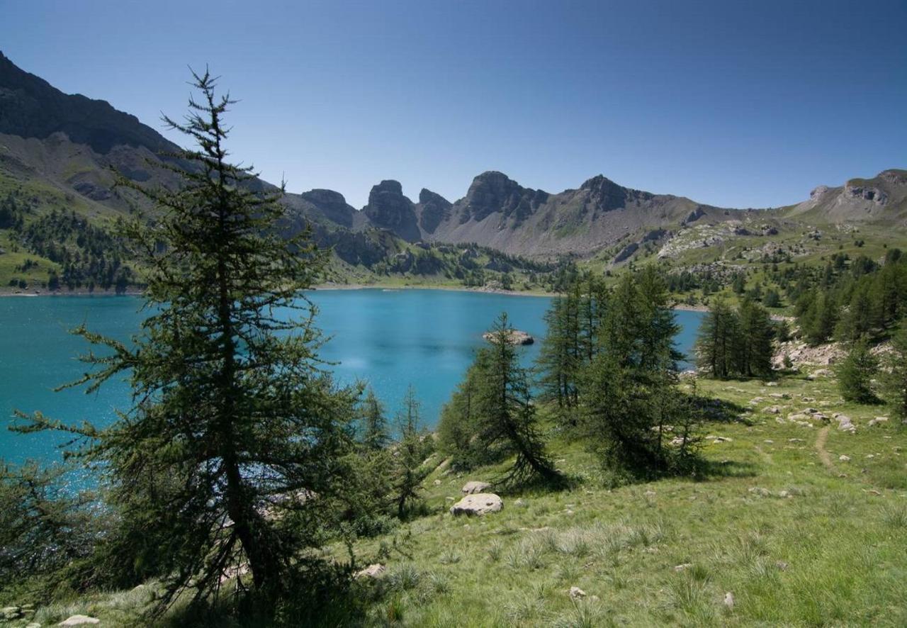 Camping La Ferme De Castellane Zewnętrze zdjęcie